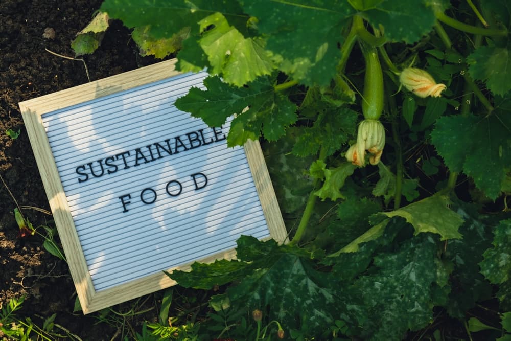 Sustainable Event Planning Trends