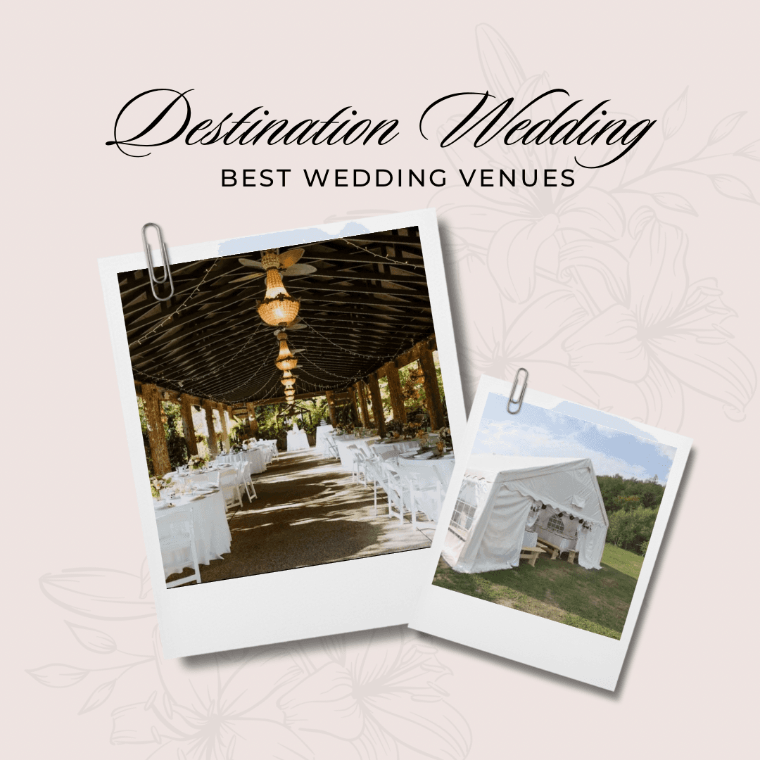 What is the cheapest month to get married?