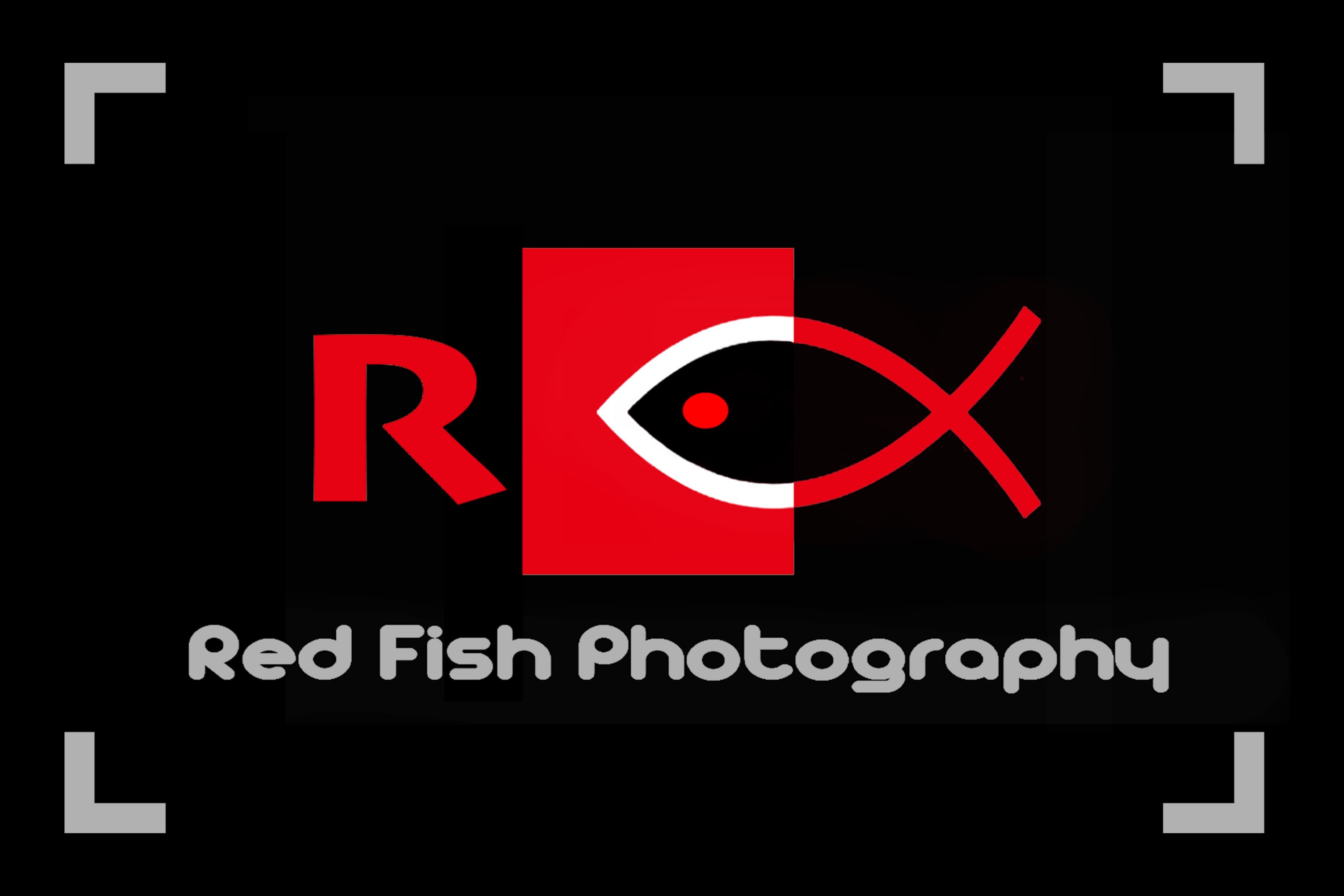 Marcus.Z Photography logo